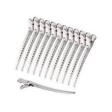 Iron Hair Clips